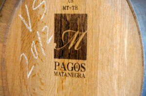 wine barrel at Pagos de Matanegra in Ribera del Duero