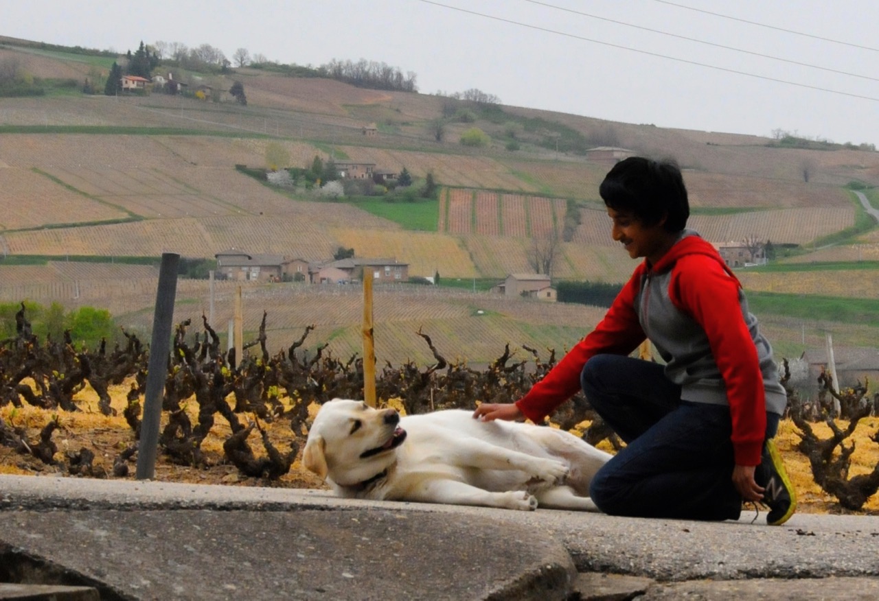 playing with dog at the vineyards of Domaine Matray