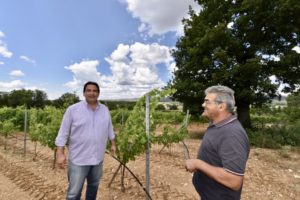 Nikos and Dimitri standing in the vineyards of Wines of Adam