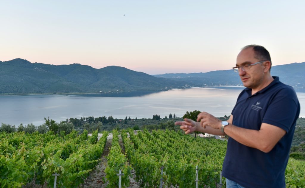 Konstantinos Vriniotis of Vriniotis winery standing against a backdrop of his vineyards