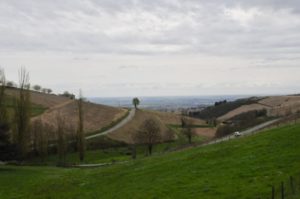 view of rolling hills seen from Chateau de Javernand in Chiroubles