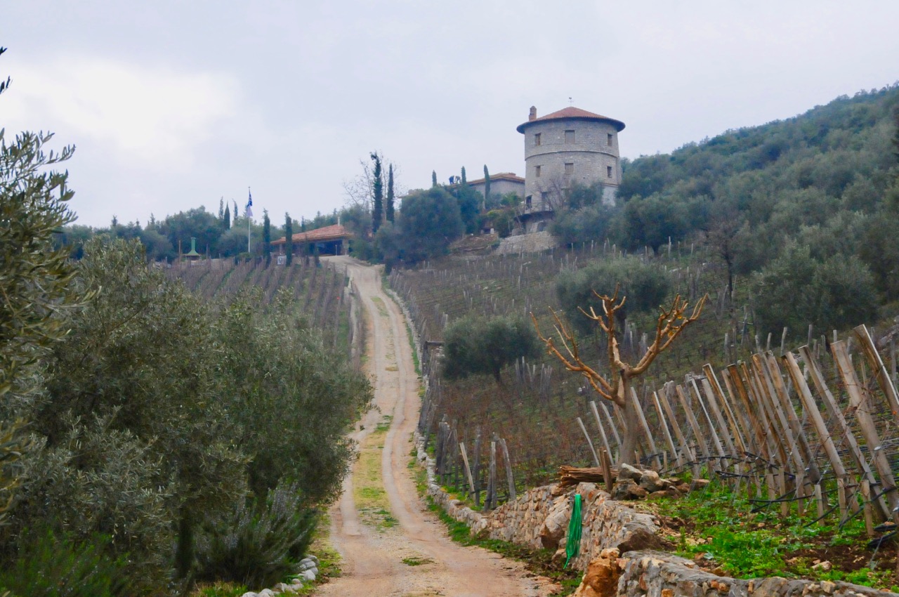 Road leading up to the La Tour Melas Winery in Achinos