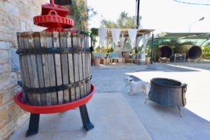 Old wine press outside the winery building and a dog standing next to it.