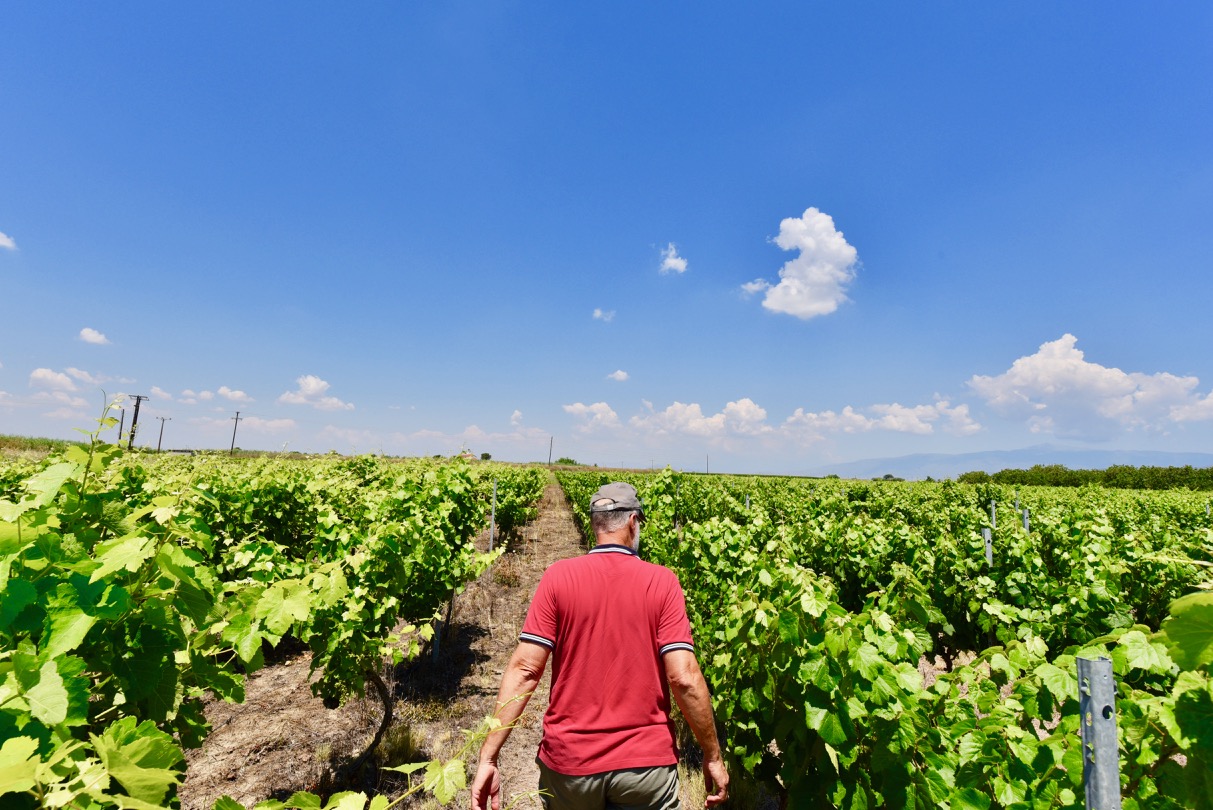 George Kitos walking in his vineyard in Sotirios