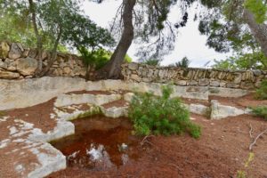 old Roman stone quarry at Barthomeus winery.