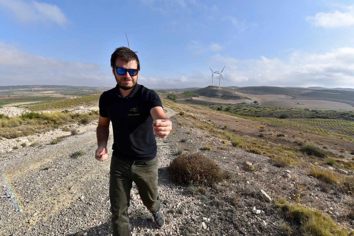 Juan Jose of Bodega Cerron showing us the wild herbs that grow on the mountain