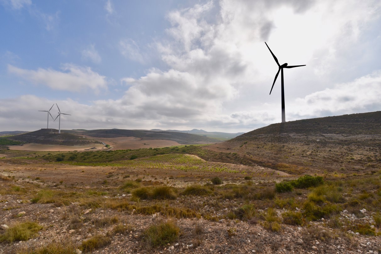 Valley of Jumilla in Fuente Alama with vineyards and windmills