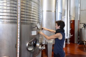 Charlotte, one of the winemakers drawing a sample of wine from a steel tank