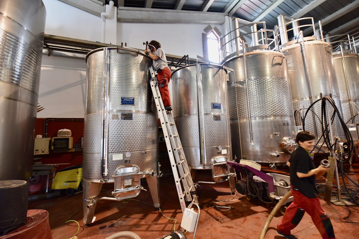 Two women winemakers working in the cellar of Ferre i Catasus winery.