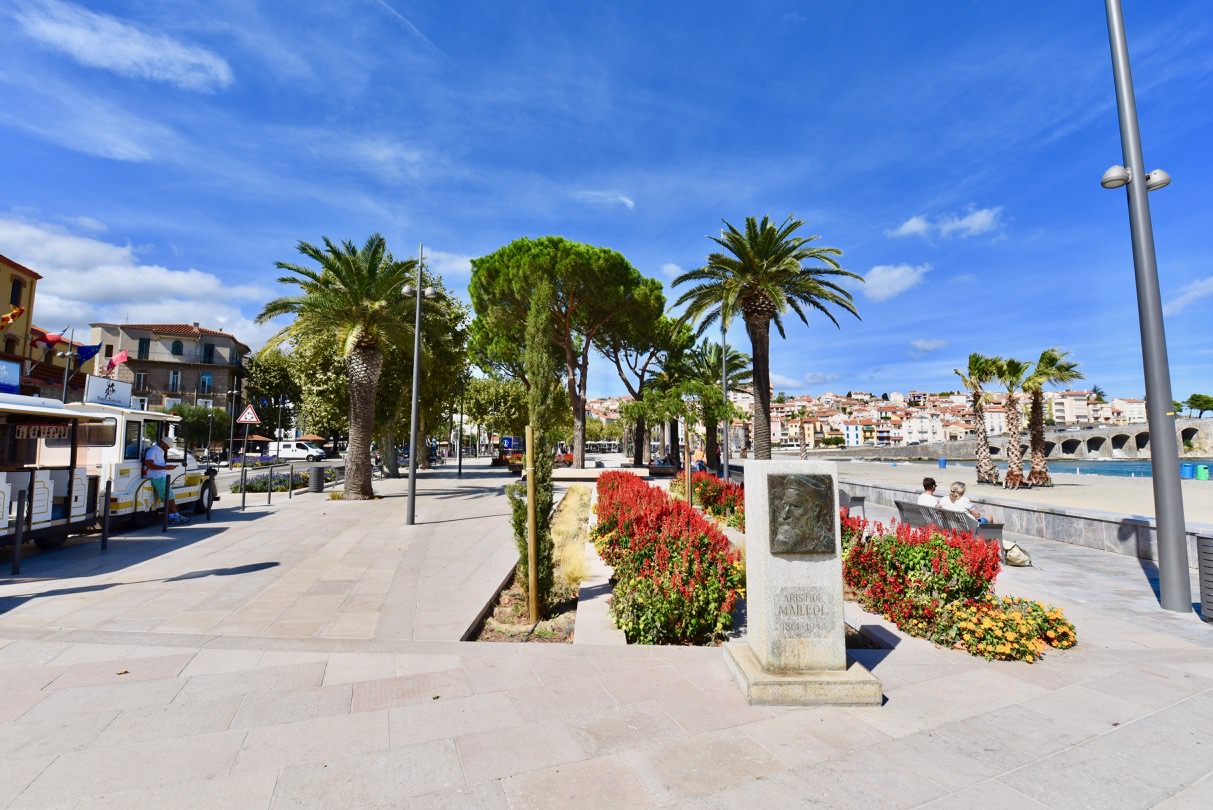 The boardwalk in Banyuls sur mer in France with trees and the sea.