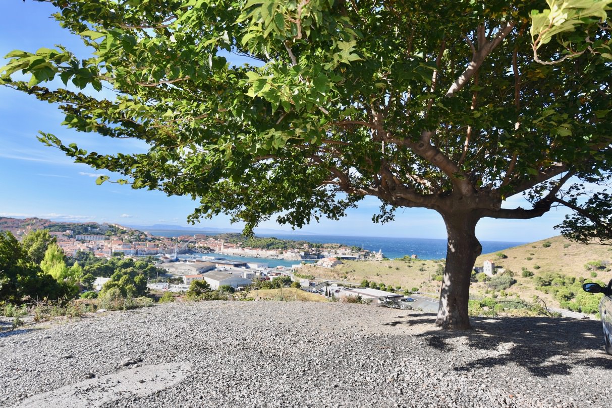 View of a coastal village from under a tree.