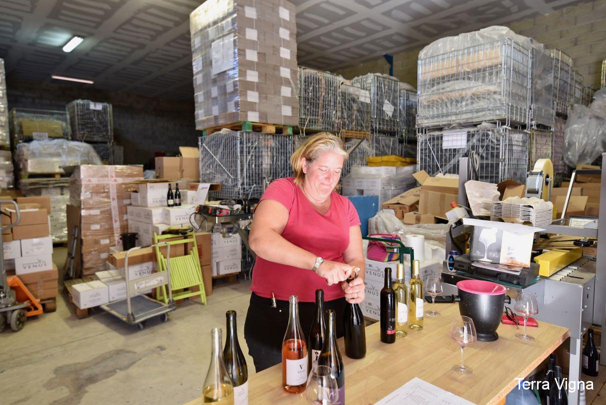 A lady opening bottles of wines on a table.