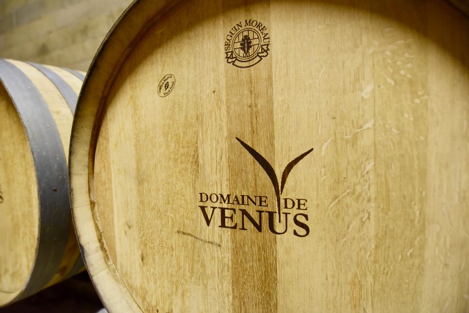 Barrel of wine with the words Domaine de Venus etched on the side.