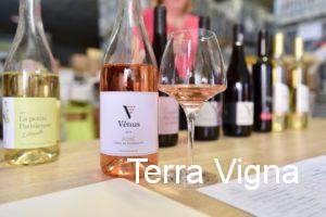 Bottles of wine on a table and a bottle of rosé wine in front with some wine in a glass.