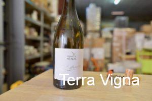 Bottle of white wine on a table.