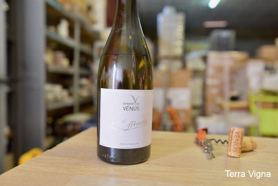 Bottle of white wine on a table.