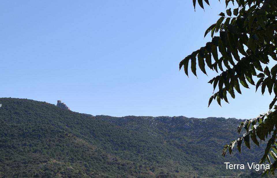 A Cathar castle on a hill.