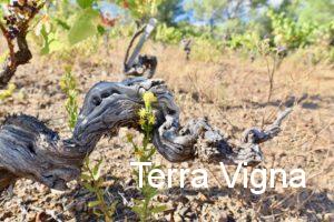a gnarly grape wine next to some yellow flowers.