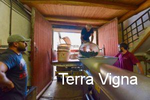 Inside a winery where one man is feeding grapes to a machine and two other men are standing around.