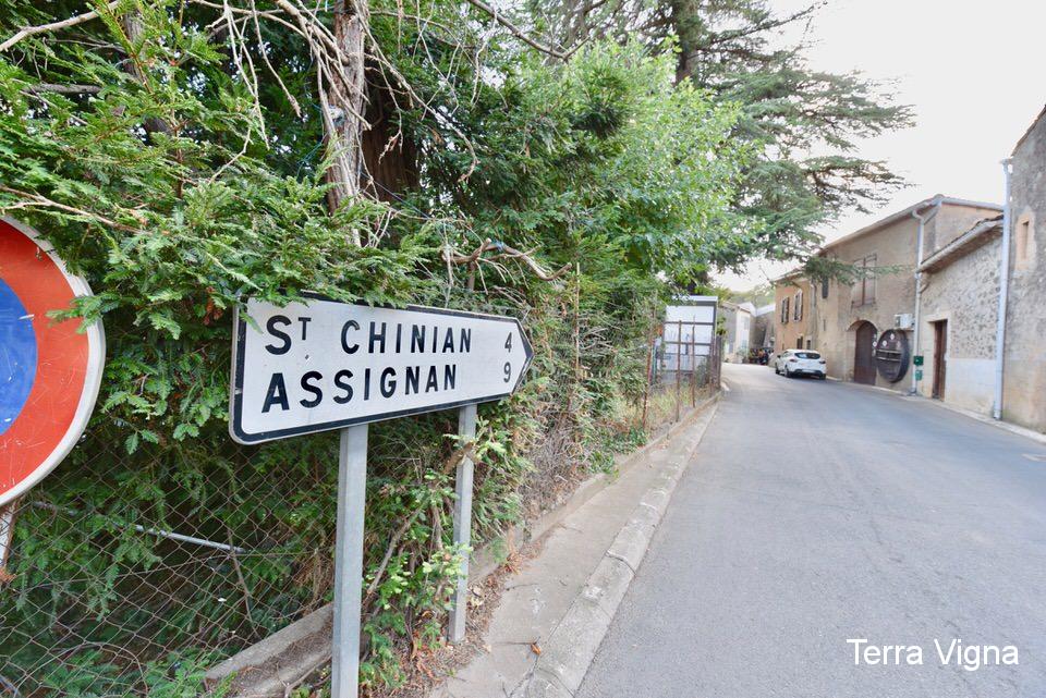 A road sign along a hedge.