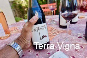 A hand holding a bottle of wine from Les Paissels in Saint-Chinian