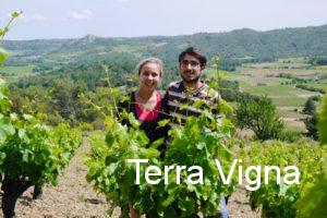 A man and a woman standing behind a grapevine and smiling.