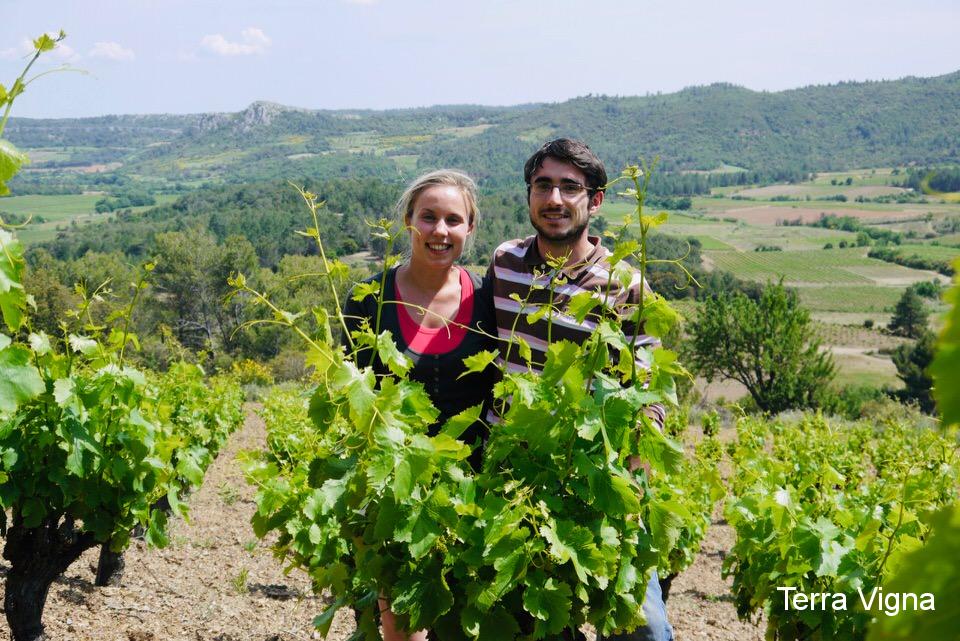 A man and a woman standing behind a grapevine and smiling.