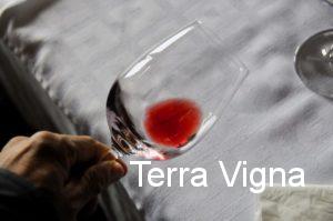 A hand holding a glass with wine in it.
