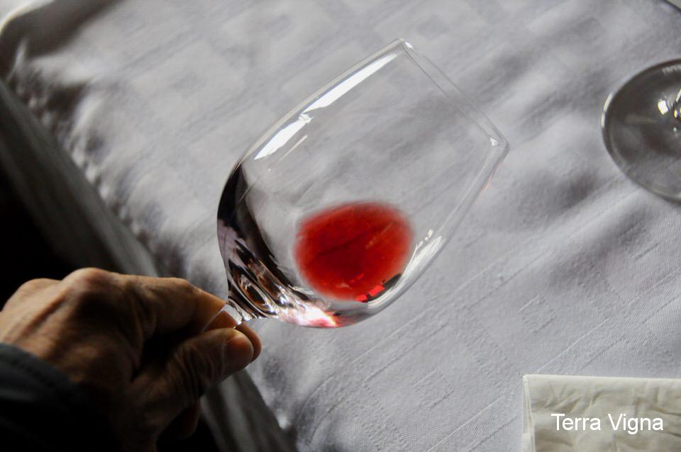 A hand holding a glass with wine in it.