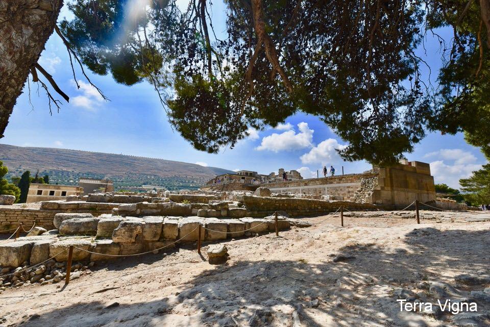 view of some ruins from under a tree.