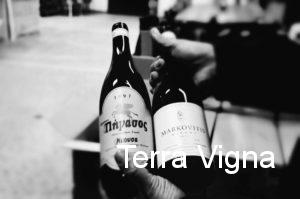 A hand holding two bottles of wine