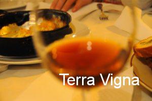 glass of wine on a table