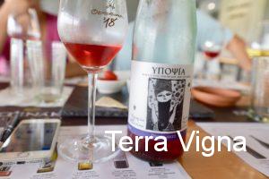 A bottle of rosé wine next to a glass of rosé wine.